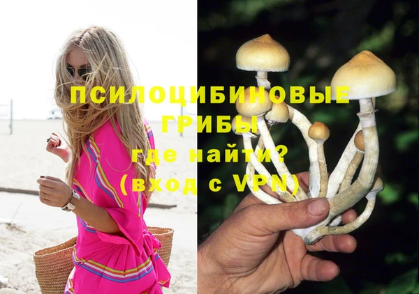 каннабис Щигры