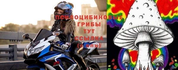круглые Щучье