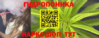 шишки Нарткала