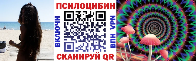 Псилоцибиновые грибы Psilocybine cubensis  Химки 