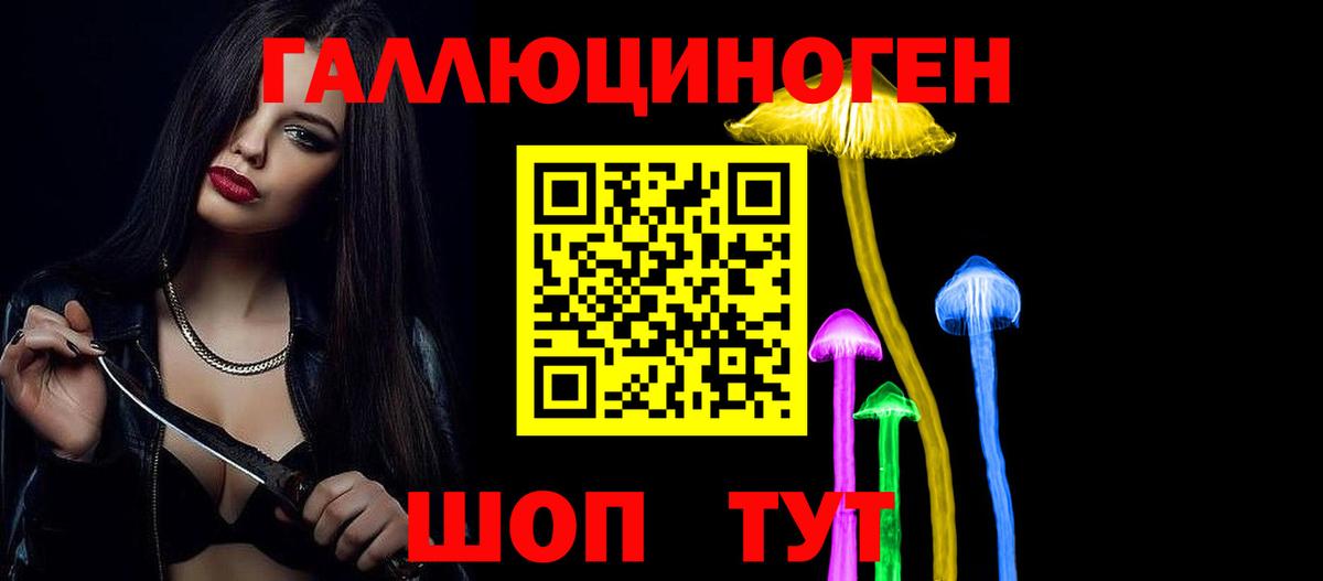 Псилоцибиновые грибы ЛСД  Псилоцибиновые грибы GOLDEN TEACHER  Химки  Вход с VPN 